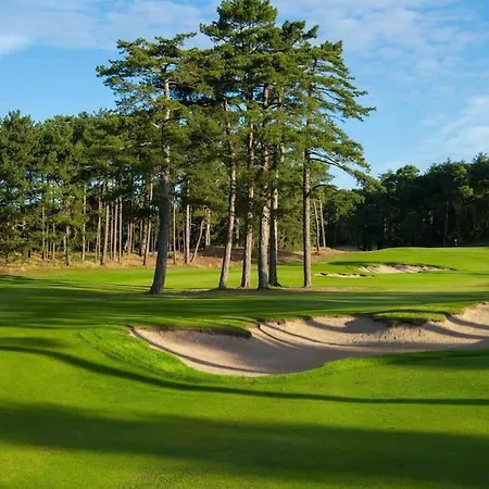 Studio Du Golf A Hardelot Fairway Lejlighed *